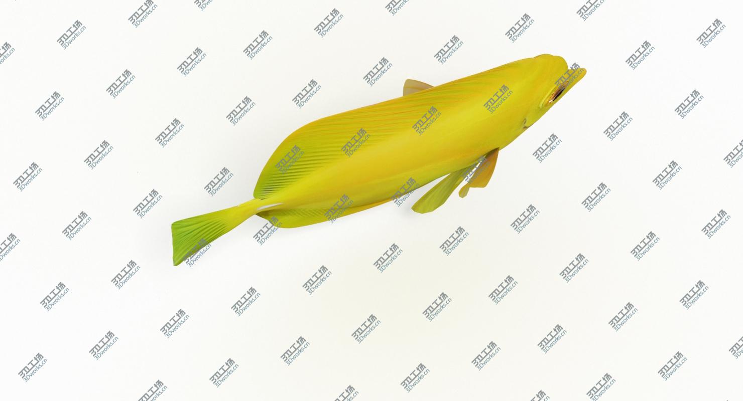 images/goods_img/2021040165/Yellow Tang (Animated) 3D model/3.jpg